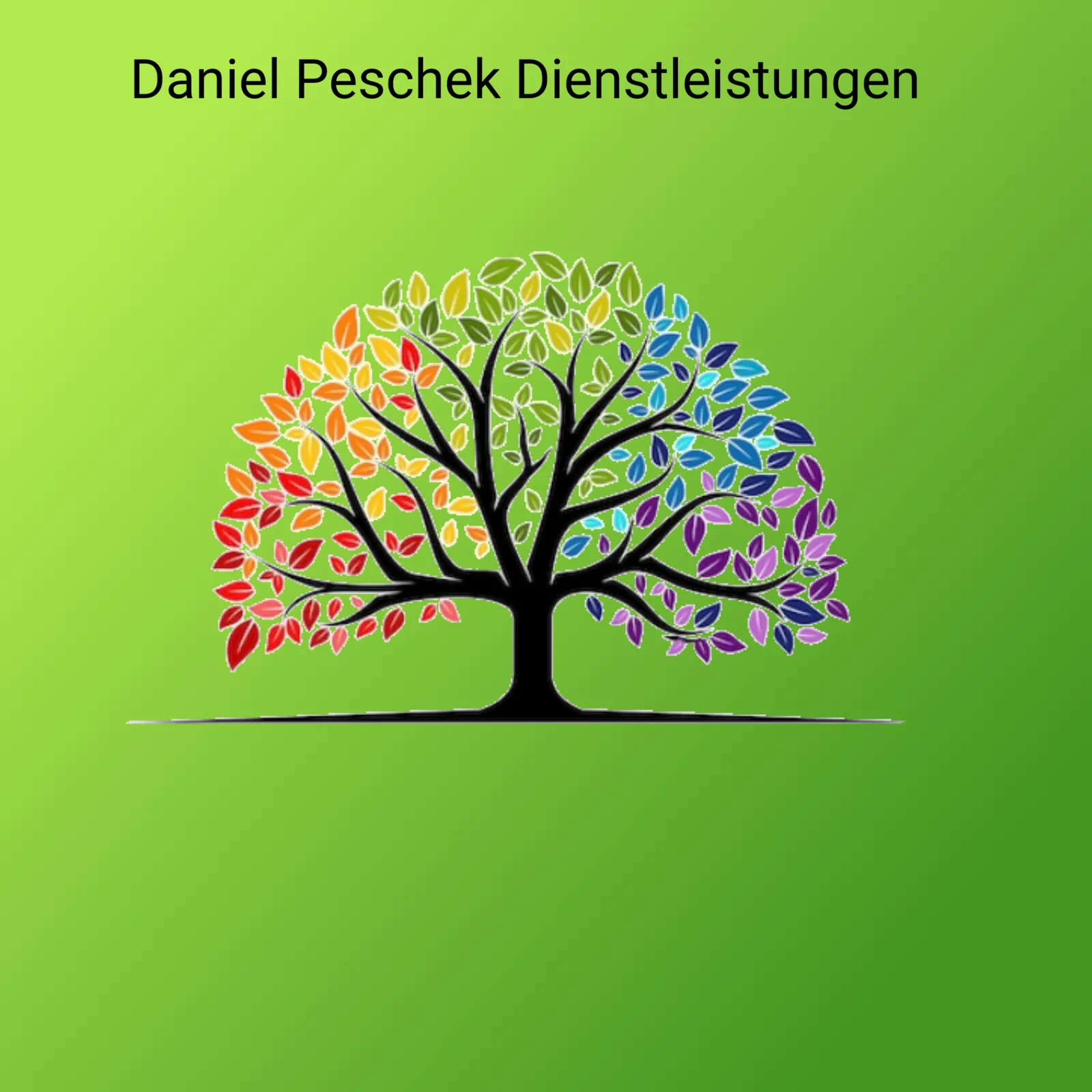 Logo Daniel Peschek Dienstleistungen