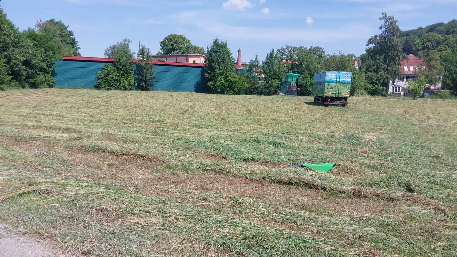 Weite Wiese mit frisch geschwadetem Schnittgut in langen Reihen im Allgäu